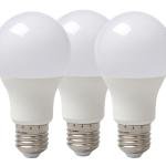 10 WATT BULB