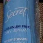 Secret Aluminum free dry spray
