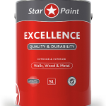 STAR PAINT