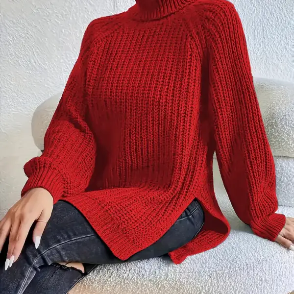 Solid Color Turtle Neck Sweater